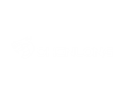 SHENLONG